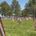 Honoring Our Heroes: Accessibility for People with Disabilities at the Nevada State Veterans Memorial, Las Vegas