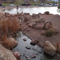 Honoring Our Heroes: Exploring the Nevada State Veterans Memorial in Las Vegas